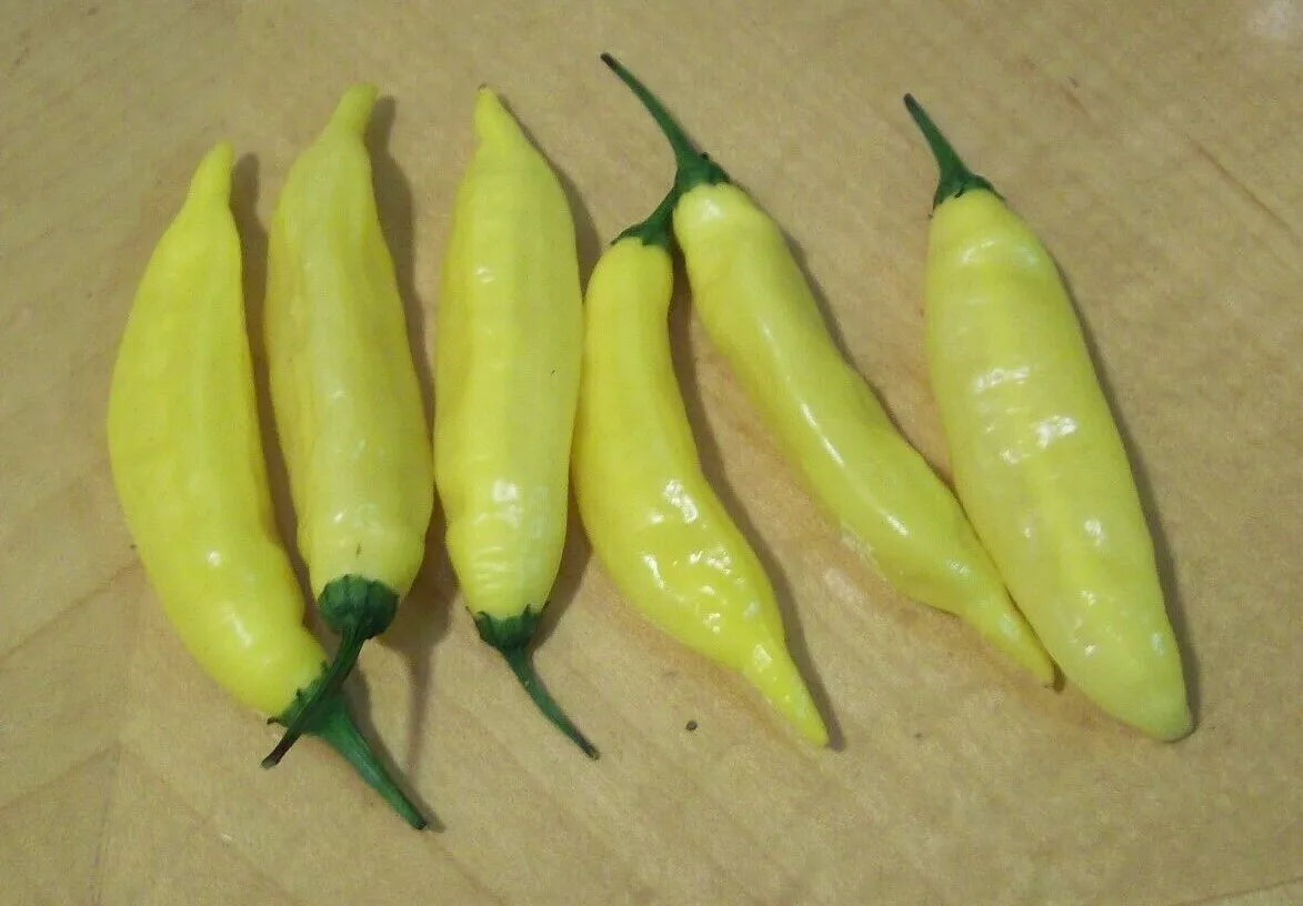 Hot Lemon Pepper Seeds - Aji Limon Variety, Capsicum baccatum, 30+ Seeds for Vegetable Garden, Compact, Full Sun, Easy to Grow