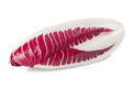 Red Treviso Endive Seeds - Heirloom Non-GMO Chicorium intybus, Salad Greens, Leafy Green, Full Sun, Organic Gardening