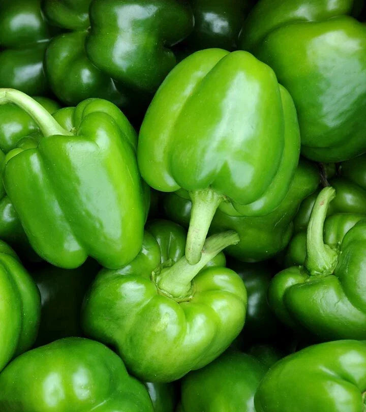 Sweet Bell Pepper Seeds - Bushel Buster Green Capsicum annuum - 50+ Seeds for Garden & Container Growing
