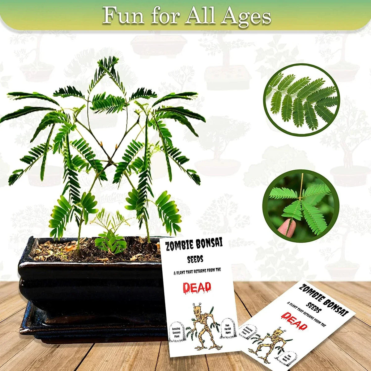 Zombie Bonsai Seeds Packets (2) - Touch-Reactive Sensory Bonsai Seeds for Indoor Gardening & Educational Fun