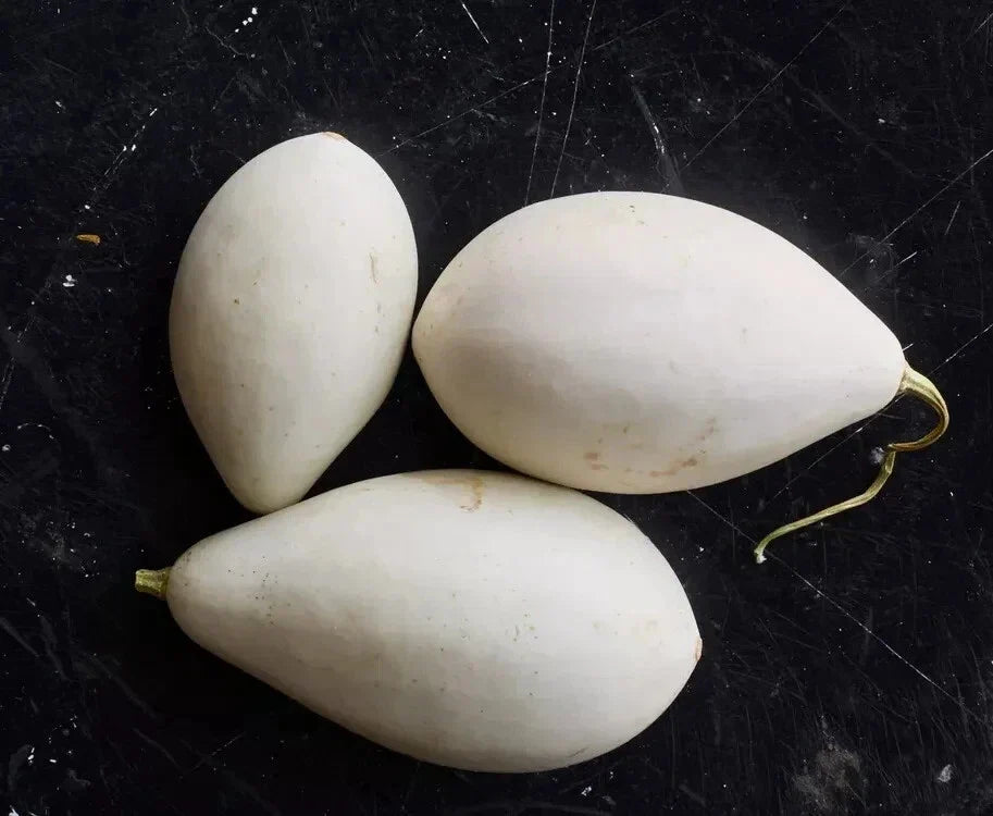 Nest Egg Gourd Seeds - 25+ Pack for Gardening, Lagenaria siceraria, Organic, Non-GMO, Easy to Grow, Vining Annual Plant