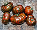Chocolate Stripe Tomato Seeds - Heirloom Organic Non-GMO Solanum lycopersicum, 120+ Seeds for Home Gardening