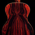 Cocobolo Tree Seeds for Planting, Dalbergia retusa, Hardwood Lumber, Fine Woodwork, Tropical Tree Seeds