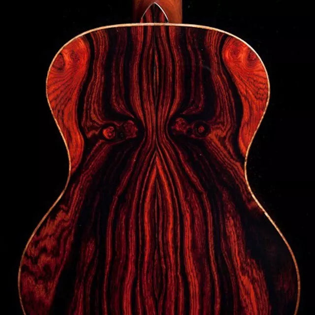 Cocobolo Tree Seeds for Planting, Dalbergia retusa, Hardwood Lumber, Fine Woodwork, Tropical Tree Seeds
