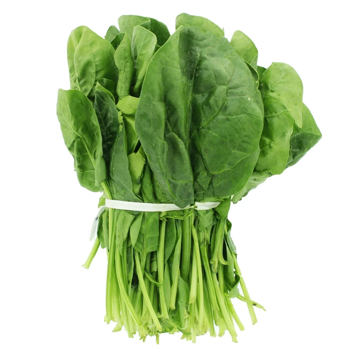 Tendergreen Spinach Seeds – Non-GMO, Heirloom, Spinacia oleracea, Leafy Greens, Vegetable Seeds for Home Gardening