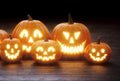 Jack O' Lantern Pumpkin Seeds - 20 Seeds, Medium-Sized, Symmetrical Fruit, Cucurbita pepo, Fall Garden, Halloween Carving