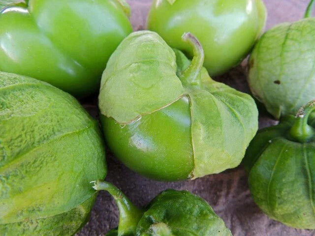 Tomatillo Seeds - Organic Toma Verde Heirloom Variety - Non-GMO, High Germination - Physalis ixocarpa, Bushy Plant