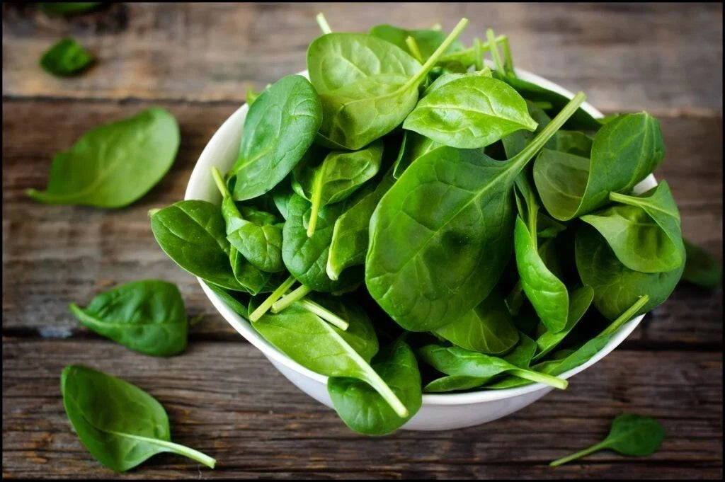 Giant Noble Spinach Seeds - 31,000+ Non-GMO Organic Vegetable Garden Seeds - Spinacia oleracea, Heirloom, Large Leaves