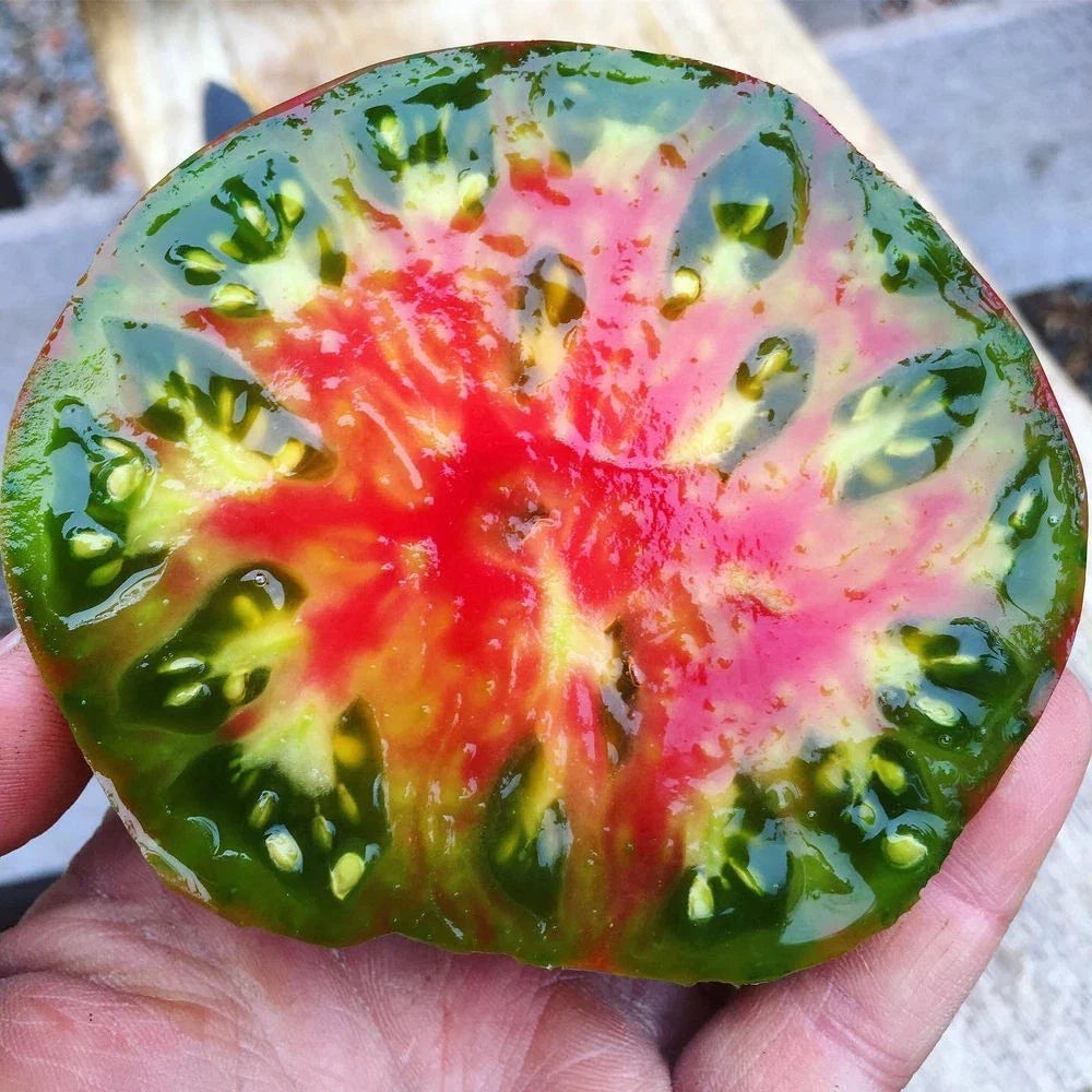 Ananas Noire Tomato Seeds - Organic Heirloom, Black Pineapple Variety, Solanum lycopersicum, Rare, 10+ Seeds