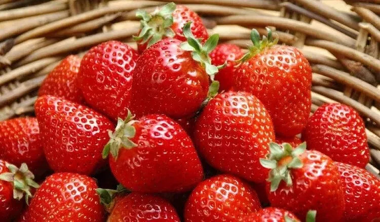 Sweet Strawberry Seeds - 150 Count, Fragaria × ananassa, Organic, Edible Garden, Home Growing, Compact, Juicy Fruit