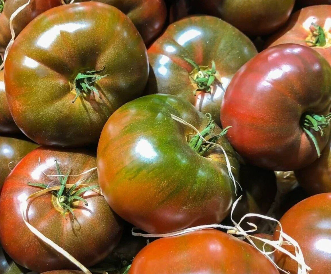 Black Krim Tomato Seeds - Heirloom Indeterminate Russian Vegetable Seeds for Home Garden - 100+ Pack