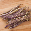 Dragon's Tongue Bean Seeds - Heirloom Phaseolus vulgaris - Purple-Streaked Green Pods, 20 Seeds for Planting
