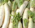Daikon Radish Seeds 200 Ct - Japanese Minowase Non-GMO Vegetable Seeds for Home Garden & Container Growing
