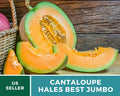 Heirloom Organic Cantaloupe Seeds - 25+ Hales Best Jumbo Cucumis melo, Non-GMO, Juicy, Large Melons for Home Garden