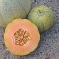 Minnesota Midget Cantaloupe Seeds - Non-GMO Mini Melon Fruit, Cucumis melo, 25+ Seeds for Small Gardens & Containers