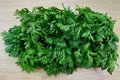 Shungiku Seeds 100g Asian Greens Edible Chrysanthemum Glebionis coronaria for Salads & Stir-Fries