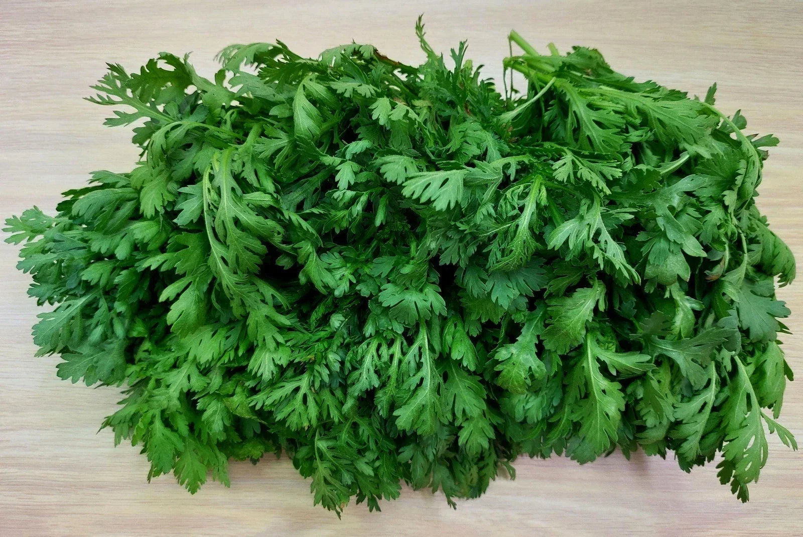 Shungiku Seeds 100g Asian Greens Edible Chrysanthemum Glebionis coronaria for Salads & Stir-Fries