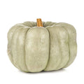 Blue Doll Pumpkin Seeds Pack of 25+ Cucurbita pepo Garden Planting, Blue-Hued Pumpkins, Free Shipping