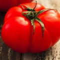 Beefsteak Tomato Seeds - Heirloom, NON-GMO, Large Fruits, Solanum lycopersicum, Home Garden Vegetable Seeds
