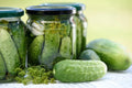 National Pickling Cucumber Seeds - Heirloom Cucumis sativus for Dill Pickles, Heavy Yields, Garden Fresh, Non-GMO, 25 Seeds