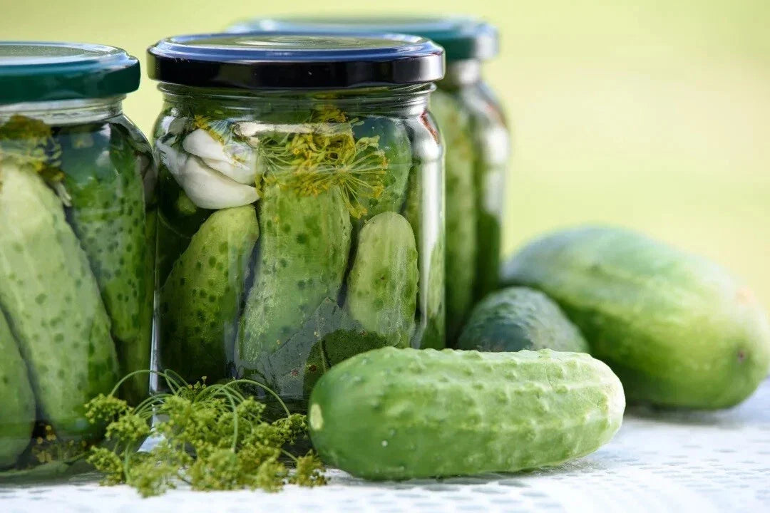 National Pickling Cucumber Seeds - Heirloom Cucumis sativus for Dill Pickles, Heavy Yields, Garden Fresh, Non-GMO, 25 Seeds