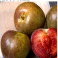 Flavor Supreme Pluot Tree Live Plant, 1/2" Trunk, Self-Pollinating, Prunus domestica x Prunus armeniaca