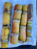 Sugarcane Buds - Fresh Cut Heirloom Saccharum officinarum - Ready to Plant, 4+ Buds, Florida Grown