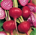 Crosby Egyptian Beet Seeds – Non-GMO Beta vulgaris, 100+ Seeds for Home Garden, Sweet, High Yield, Easy to Grow