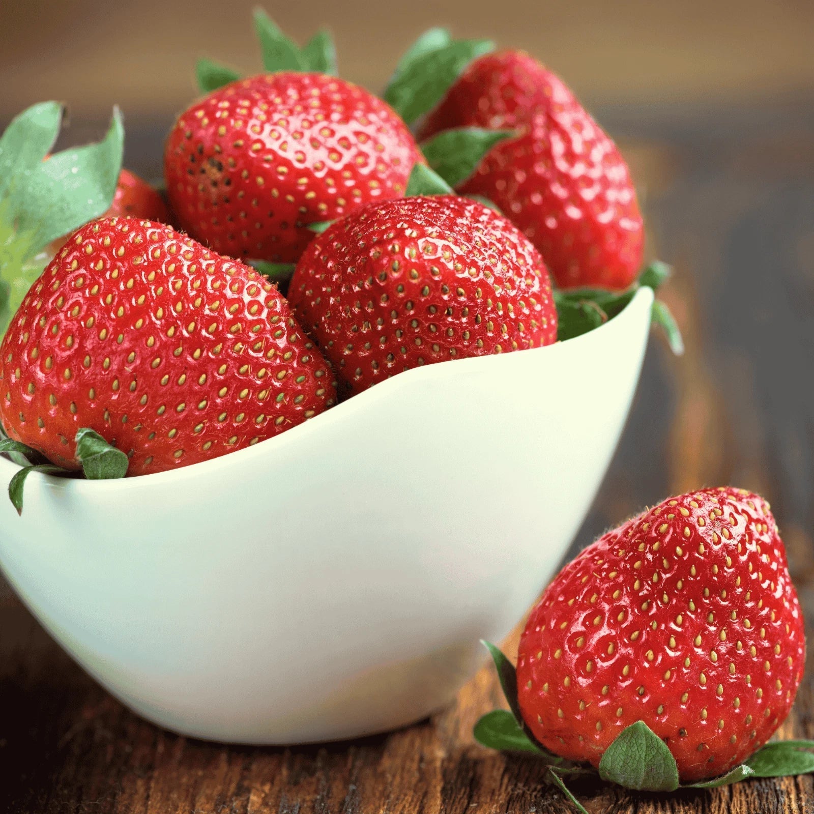 Cabot Strawberry Roots – Extra-Large Bare Root June-Bearing Fragaria × ananassa, Sweet Flavor for Garden or Containers