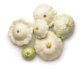 Early White Patty Pan Scallop Squash Seeds, Cucurbita pepo, Compact Bush Plant, 50 Seeds for Garden Planting