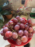 Giant Red Globe Grape Seeds – Vitis Vinifera Fruit Vine for Home Garden, Table & Dessert, 10 Seeds