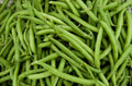 Green Bean Seeds - Tenderette Phaseolus vulgaris, Bush Type, Fresh Seeds for Home Gardens
