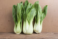 Bok Choy Seeds - 4000+ Non-GMO Chinese White Stem Pak Choi Brassica rapa Vegetable Seed Packet