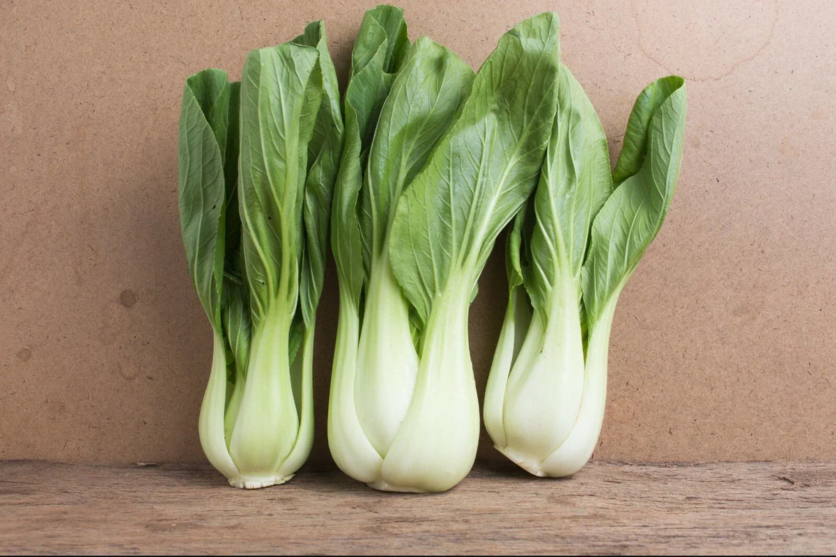 Bok Choy Seeds - 4000+ Non-GMO Chinese White Stem Pak Choi Brassica rapa Vegetable Seed Packet