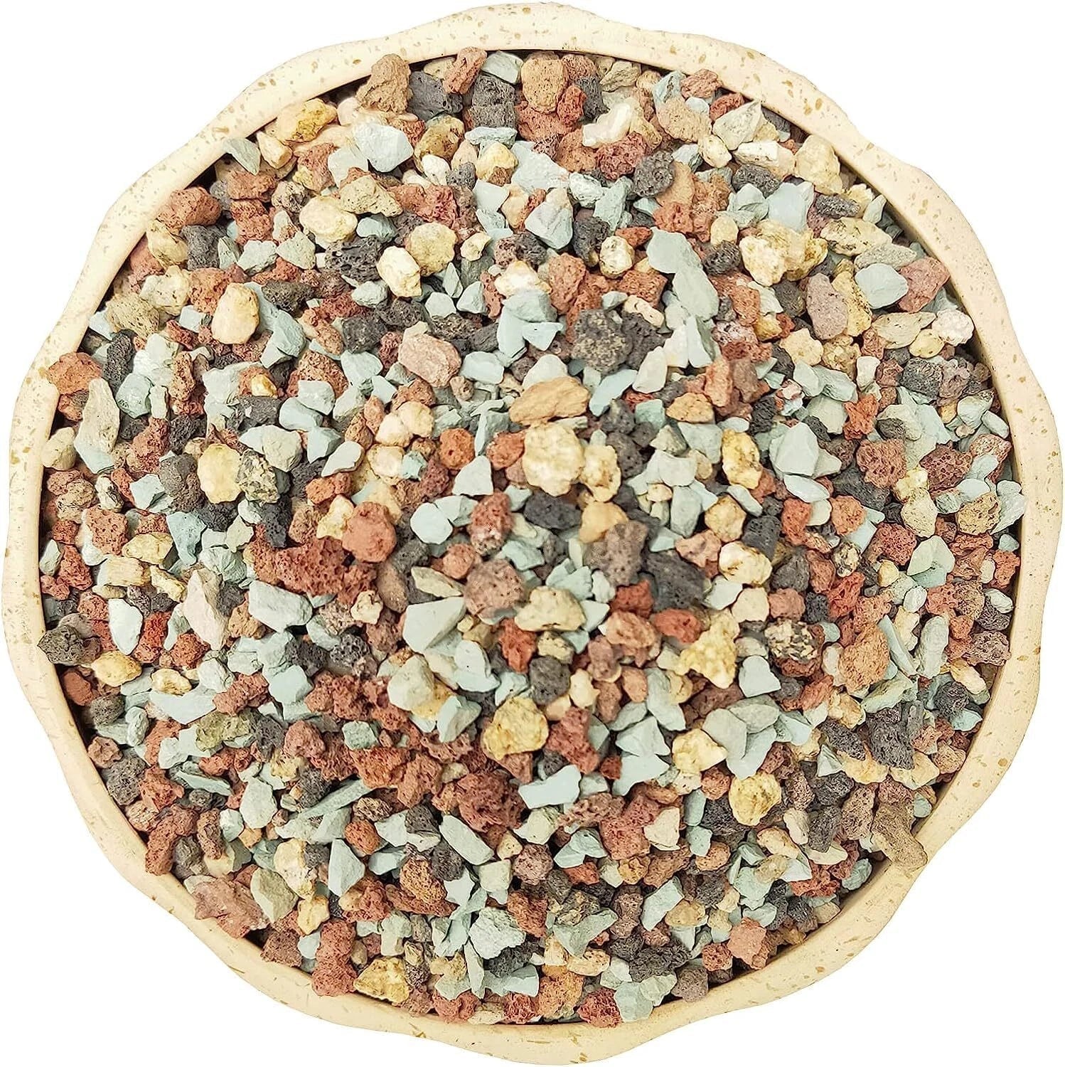 Succulent Soil Mix 5Lb Gritty Blend for Cactus and Succulents with Excellent Drainage and Root Health