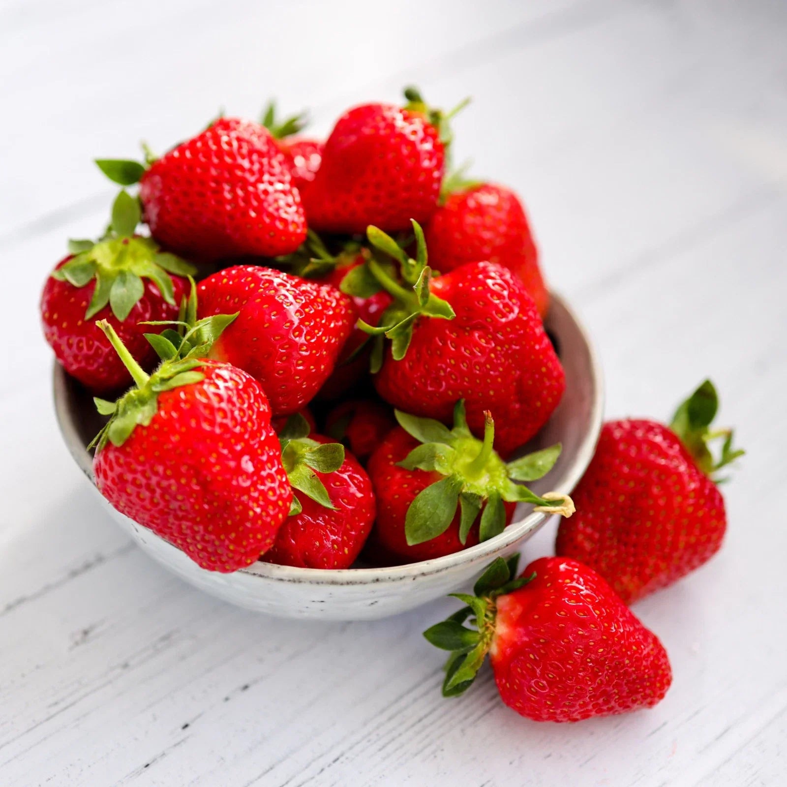 Everbearing Strawberry Roots - Bare Root Plants - Fragaria × ananassa - Sweet, Juicy, Perennial Garden Plant