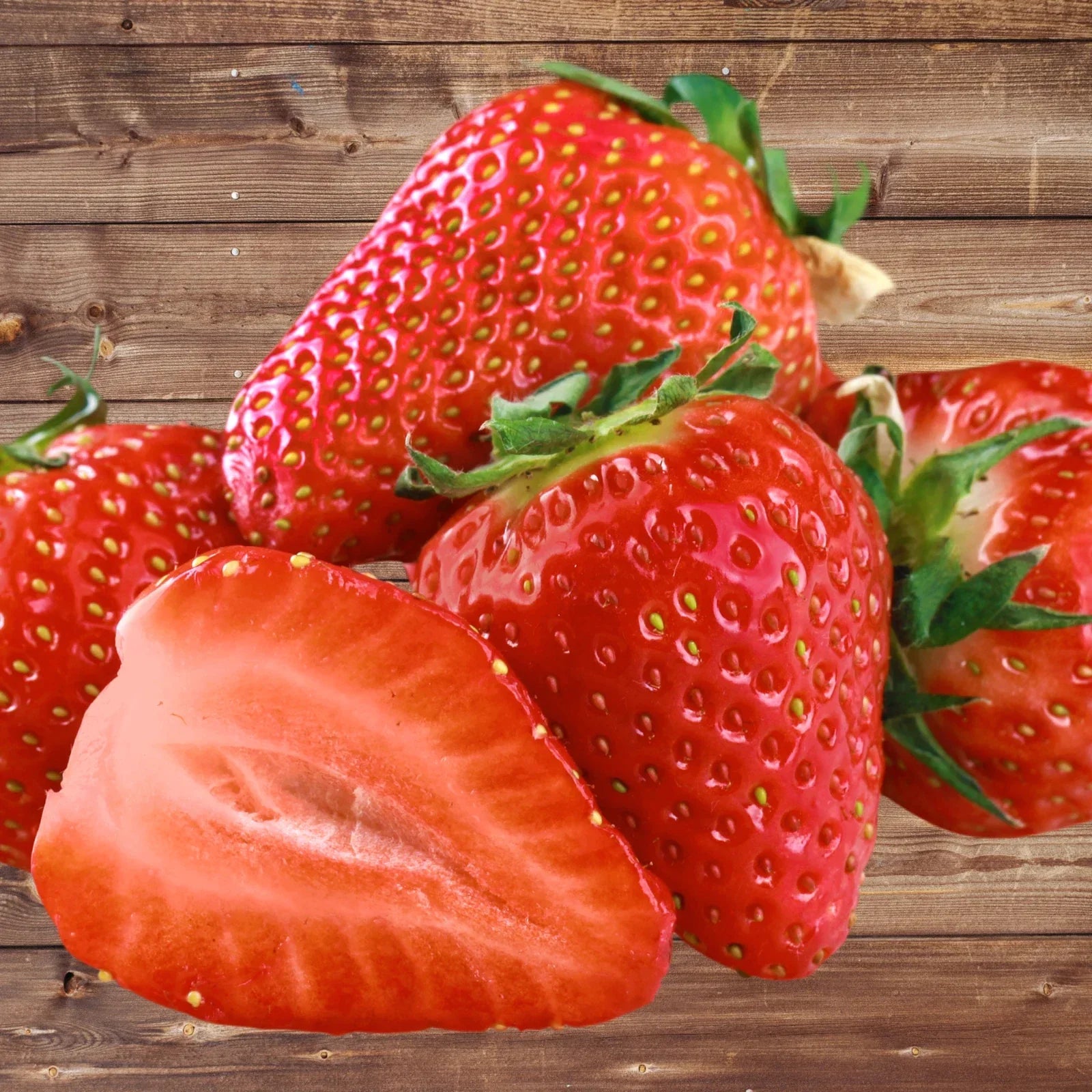 Seascape Strawberry Roots Bare Root Plants – Ever-Bearing Fragaria × ananassa for Home Gardens and Containers