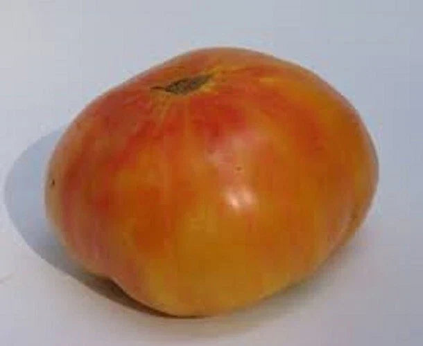Old German Tomato Seeds – Heirloom Solanum lycopersicum, 25 Fresh Seeds for Garden, Container, and Canning
