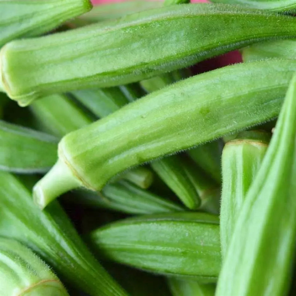 Okra Seeds 30 Pack Perkins Long Pod Non-GMO Heirloom Vegetable Seeds for Gardening