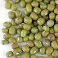 Mung Bean Seeds Non-GMO Vigna radiata Asian Vegetable Pack of 100 for Sprouting, Gardening & Cooking