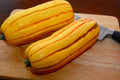 Delicata Winter Squash Seeds - Organic Heirloom Cucurbita pepo, Compact Vining, Non-GMO, for Planting, Seed Packet