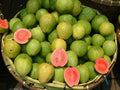 Pink Guava Seeds - 10 Pack - Psidium guajava Tropical Fruit Seeds for Home Garden, Non-GMO, Easy to Grow