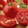 Celebrity Tomato Seeds F1 Hybrid Non-GMO Heirloom for Home Gardening, Solanum lycopersicum
