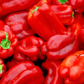 Big Red Sweet Pepper Seeds - Heirloom Capsicum Annuum Vegetable Gardening Non-GMO Pack of 25+
