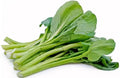 Yu Choy Sum Seeds - 100+ Brassica rapa subsp. chinensis Vegetable Seeds for Outdoor Gardening
