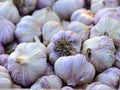 Siberian Garlic Bulbs - Organic Allium sativum for Cooking & Planting - Whole Garlic Bulbs
