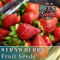 Crimson Treat Strawberry Seeds - Non-GMO Fragaria × ananassa - 150 or 350 Seeds for Home Garden, Container, or Raised Bed