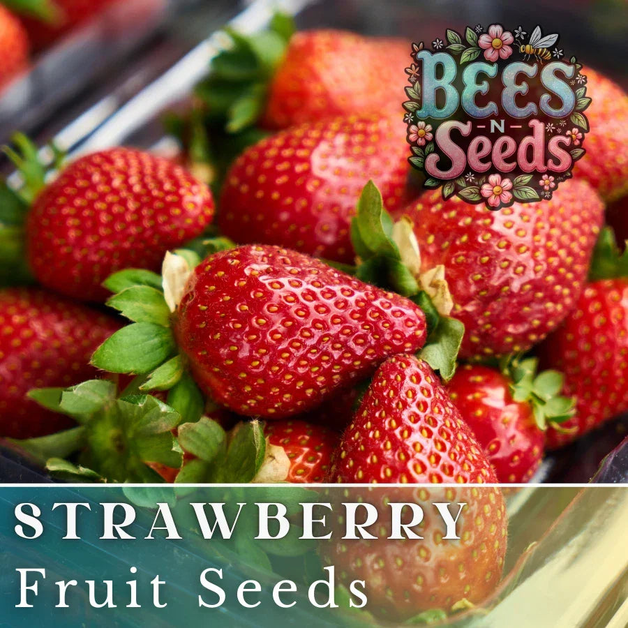Crimson Treat Strawberry Seeds - Non-GMO Fragaria × ananassa - 150 or 350 Seeds for Home Garden, Container, or Raised Bed