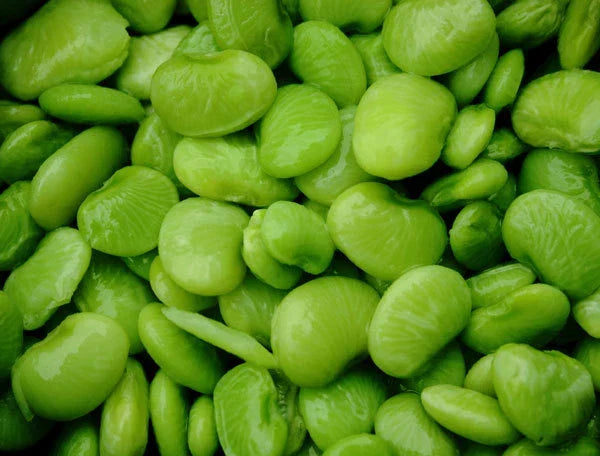 Lima Bean Seeds - Eastland Baby Lima - Non-GMO, Home Garden, Phaseolus lunatus, Pack of 100 Seeds