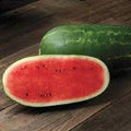 Premium Heirloom Watermelon Seeds - Cal Sweet Supreme Citrullus lanatus, Juicy & Sweet, Vining, Packaged Seeds